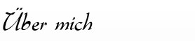 Über mich Überschrift